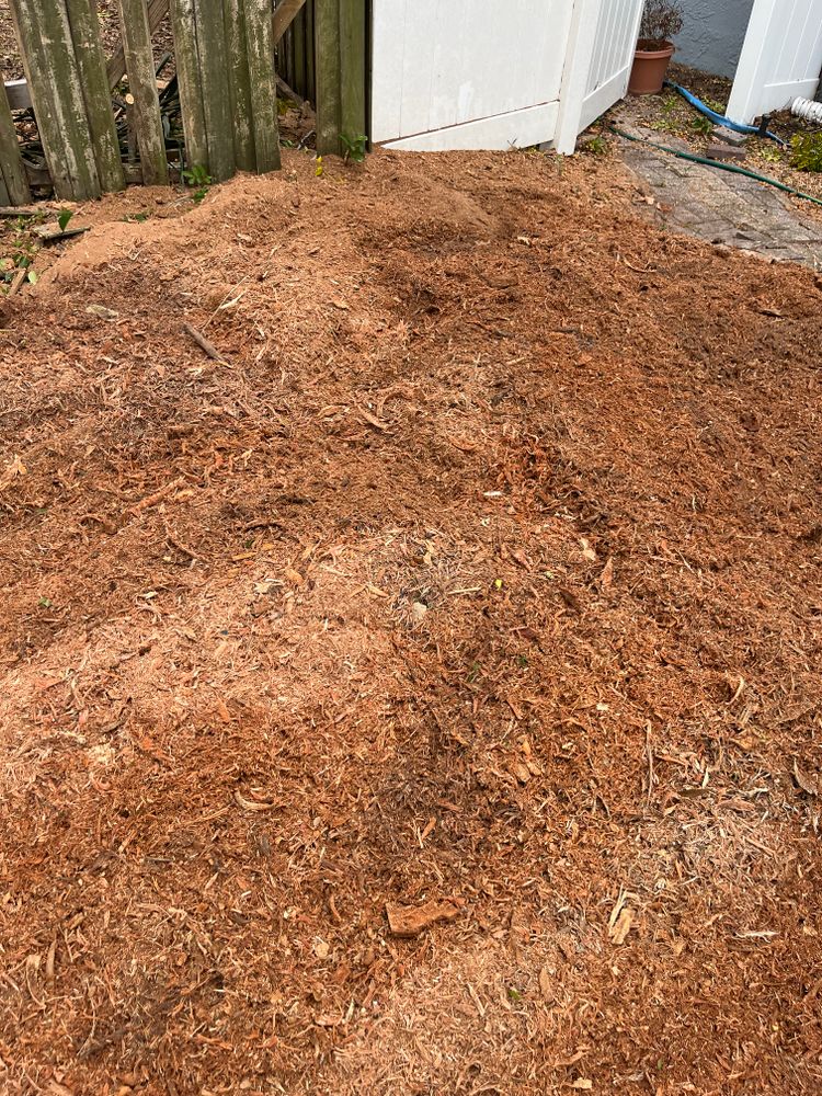 All Photos for KB’s Stump Removal in Seminole, FL