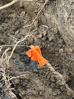 All Photos for Avanzi Plumbing in Millington, TN