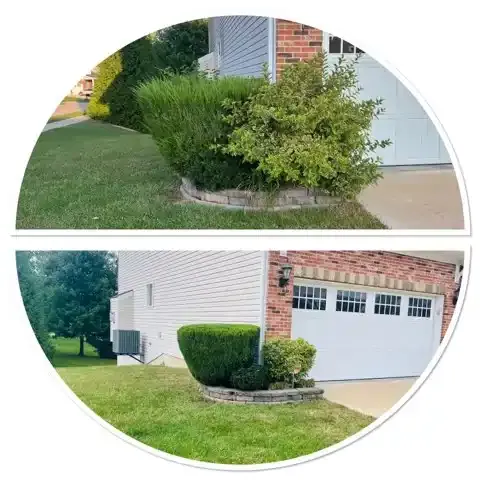 Lawn Maintenance for Jackson Lawn Services LLC in Florissant, MO