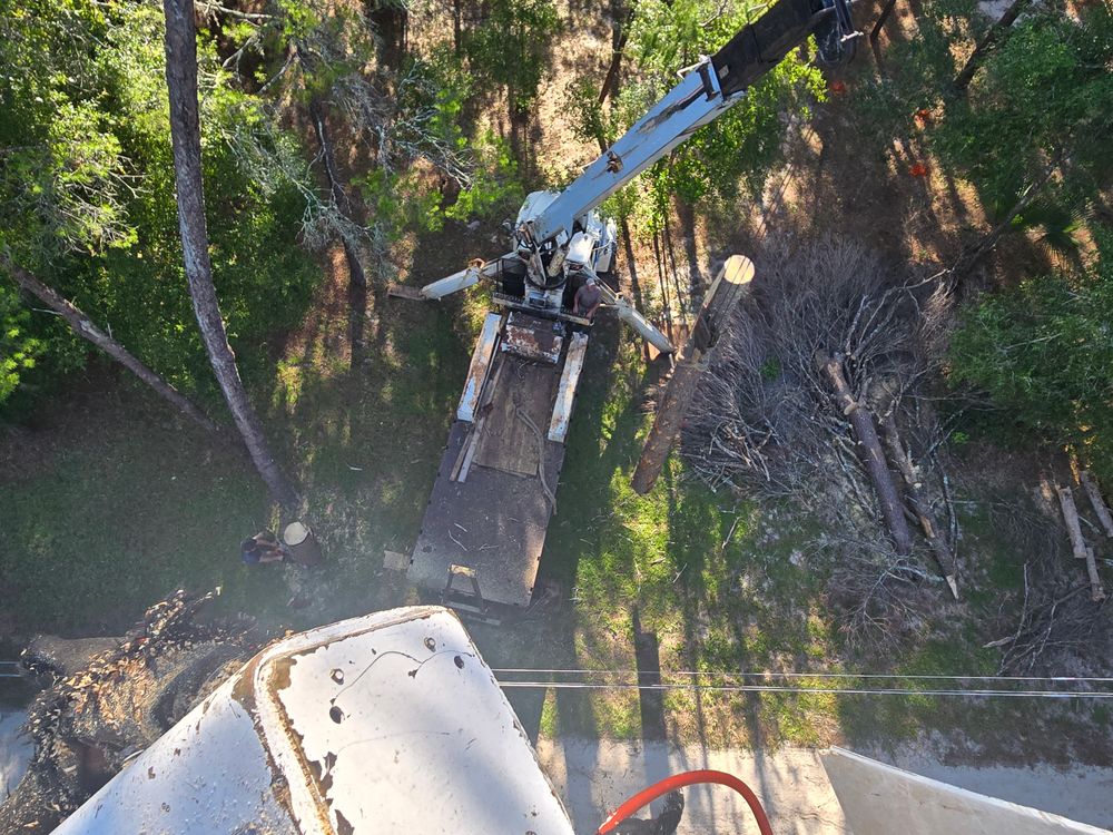 All Photos for Near Me Tree Service, Inc. in DeLand, FL