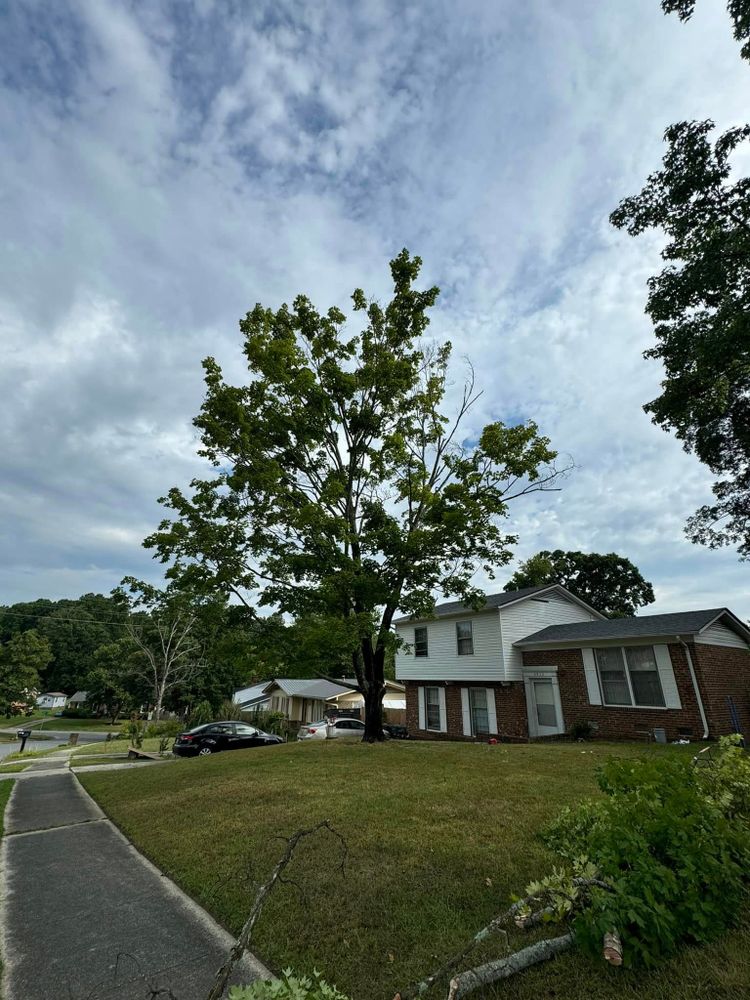 All Photos for Meade tree service in Greensboro, NC