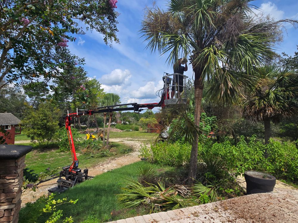 All Photos for Near Me Tree Service, Inc. in DeLand, FL