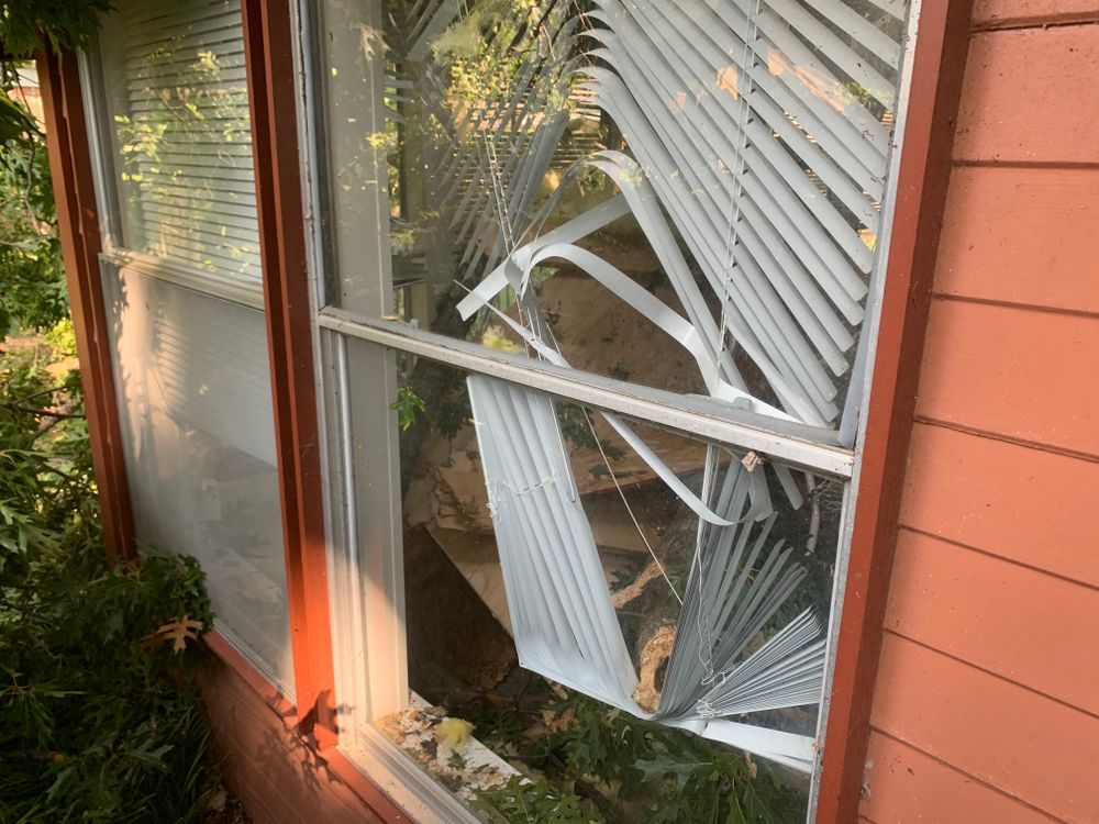 All Photos for TLC Professional Tree Service in Bedford, TX