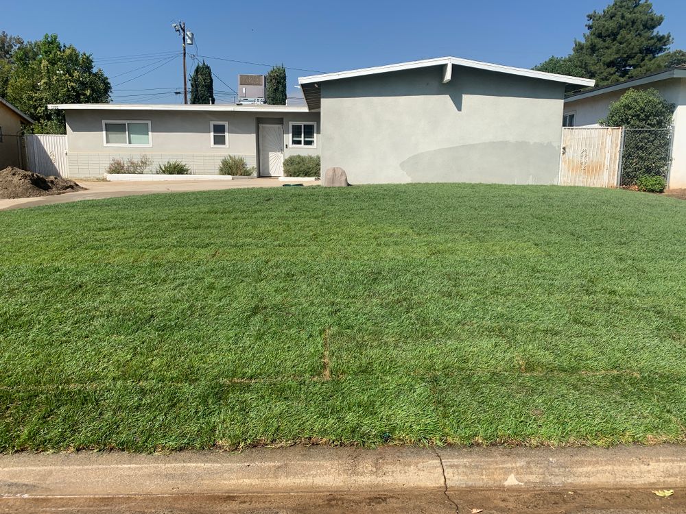 Sod Installations for Aidan Jade Landscaping in Riverside County, CA