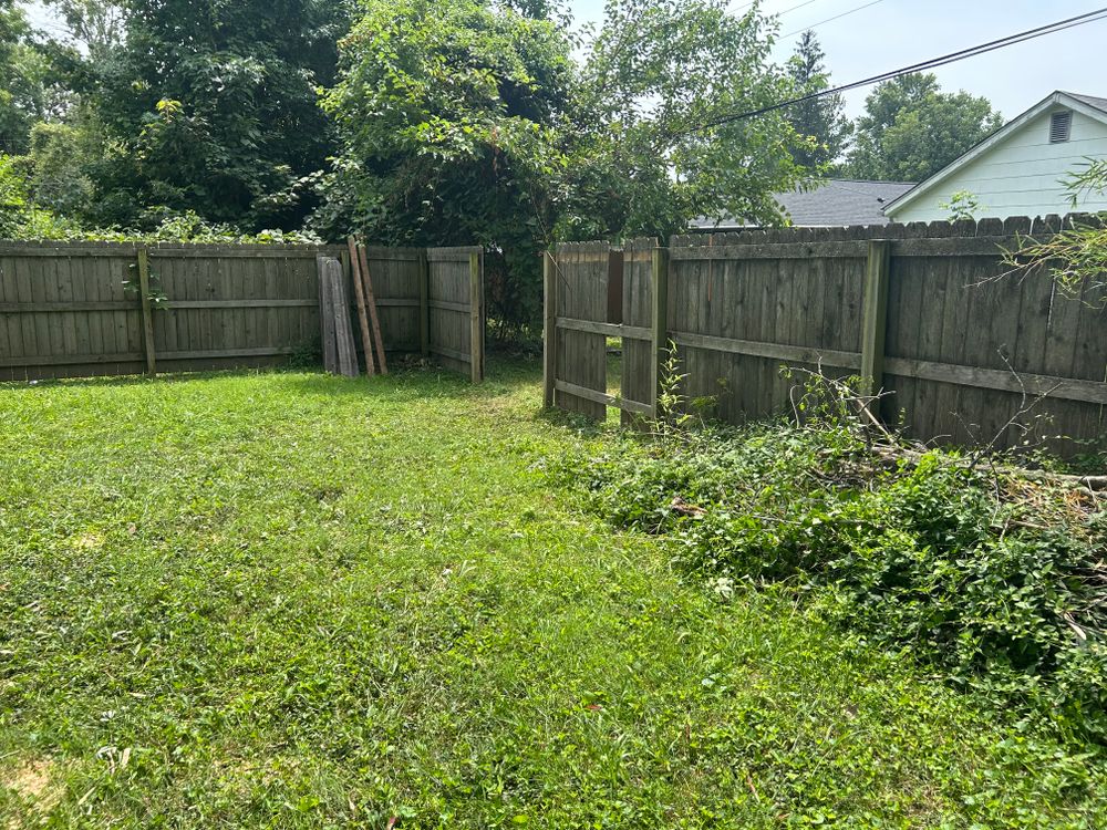 All Photos for Stinger Tree Service in Belleville, IL