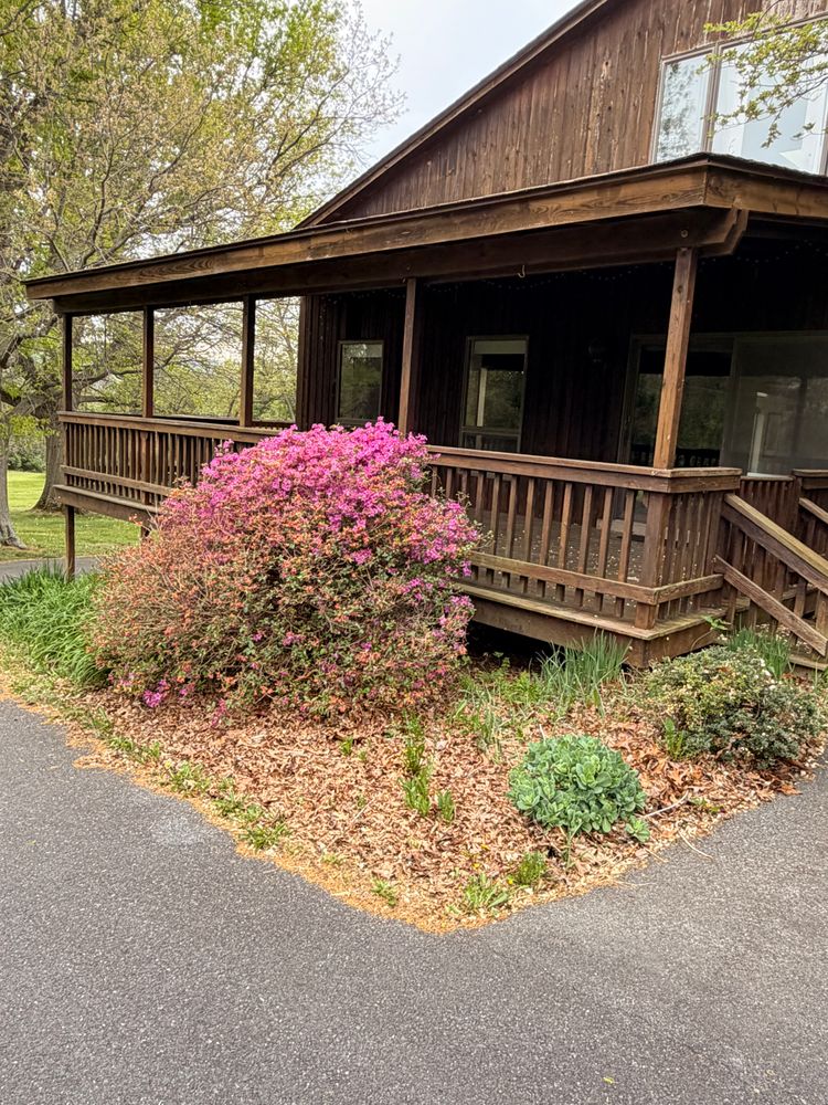 All Photos for Valencia’s Lawncare in Charlottesville, VA