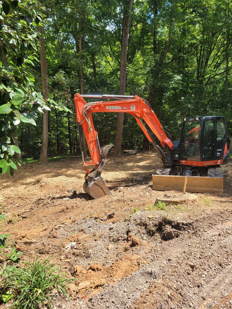 All Photos for Bobcat Bob in Clermont, GA