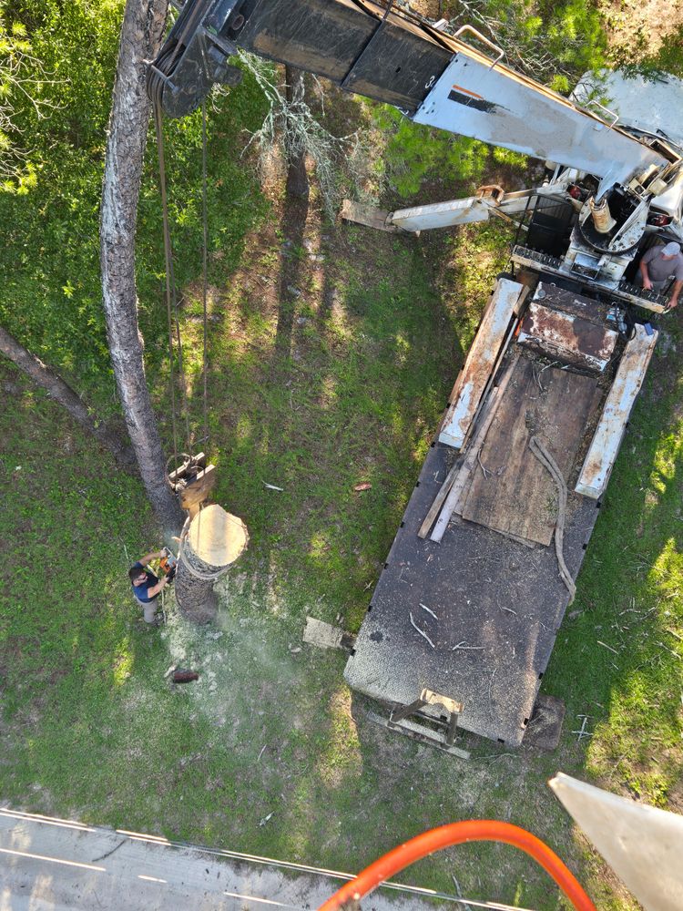 All Photos for Near Me Tree Service, Inc. in DeLand, FL