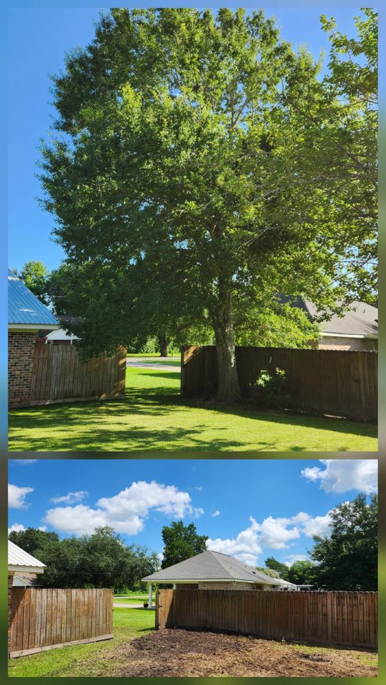 All Photos for Ken's Elite Cutters LLC  in Breaux Bridge, LA