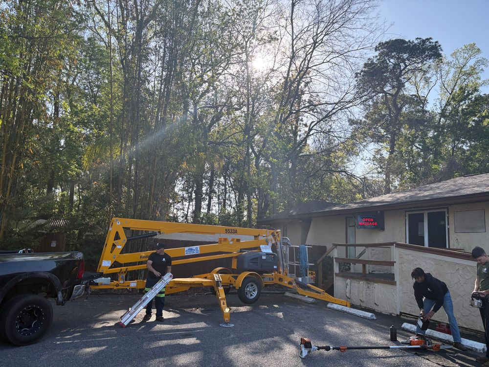 All Photos for Top Notch Tree Experts in Orange Park, FL