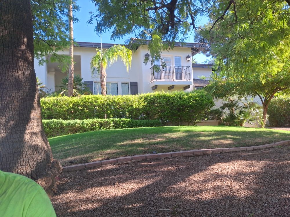 All Photos for Family Landscaping in Phoenix, AZ