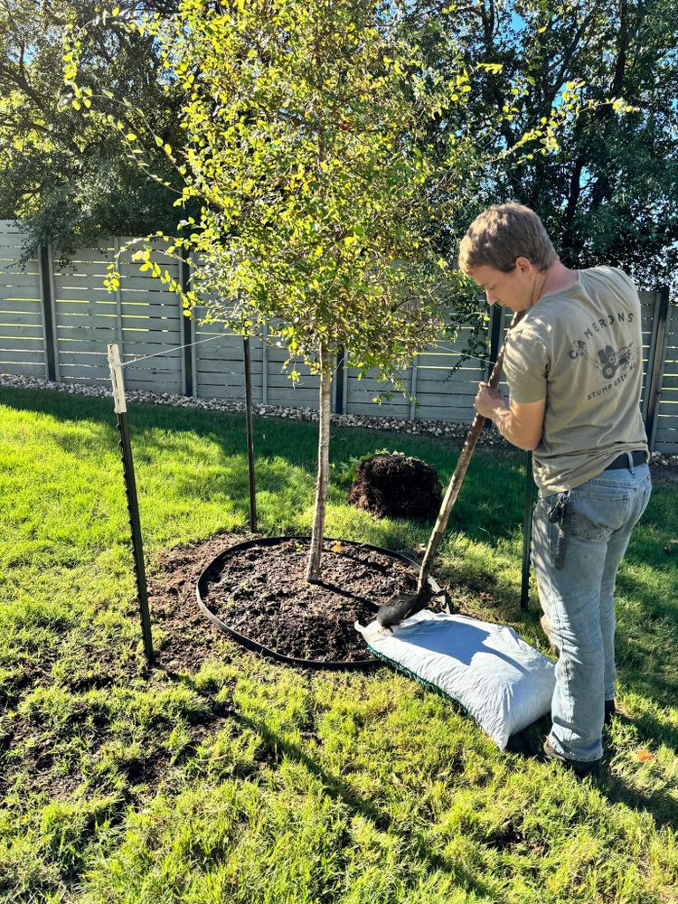 All Photos for Camerons Stump Grinding & Tree Services in Austin, TX