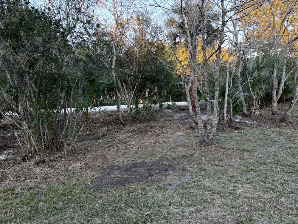 All Photos for Amerigrown Tree And Lawn in Apopka, FL