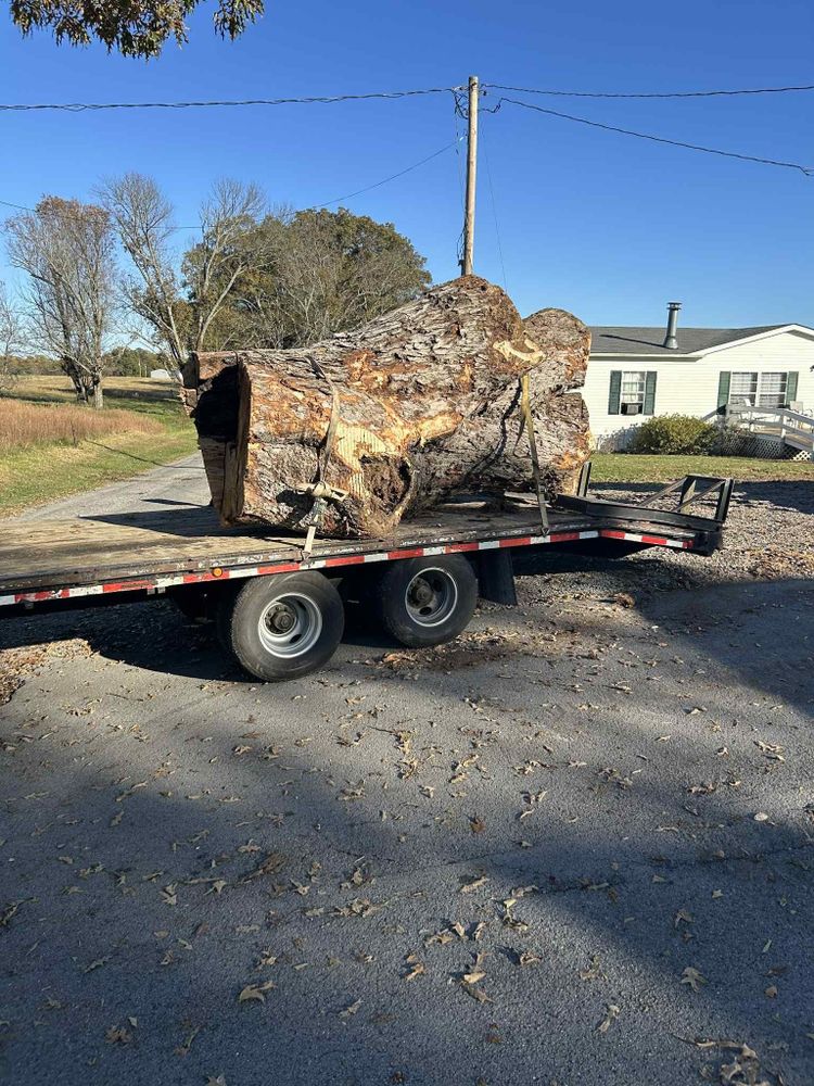 All Photos for Z's Land Management & Forestry Mulching in Smithville, TN