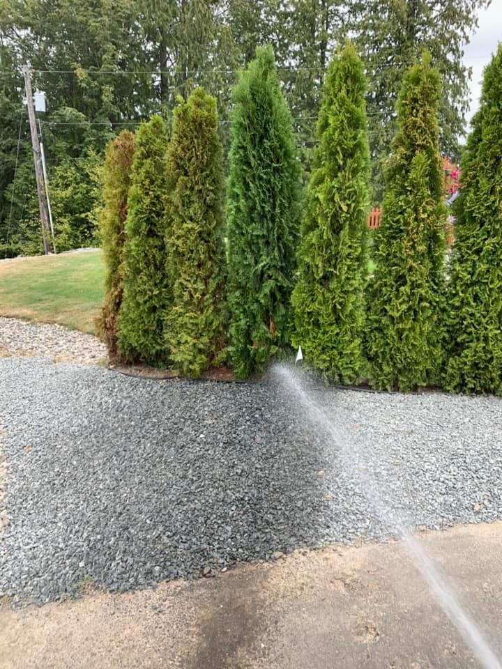 We provide professional hedge trimming and removal services to keep your yard looking neat and healthy. Our landscaping experts can help you maintain the perfect look for your home. for Avenscapes NW, LLC in , WA