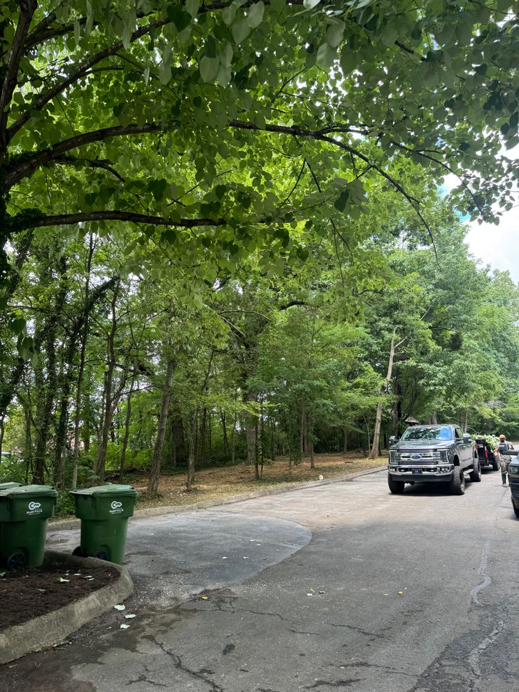 All Photos for Miller Farms Hay & Land Management in Knoxville, TN