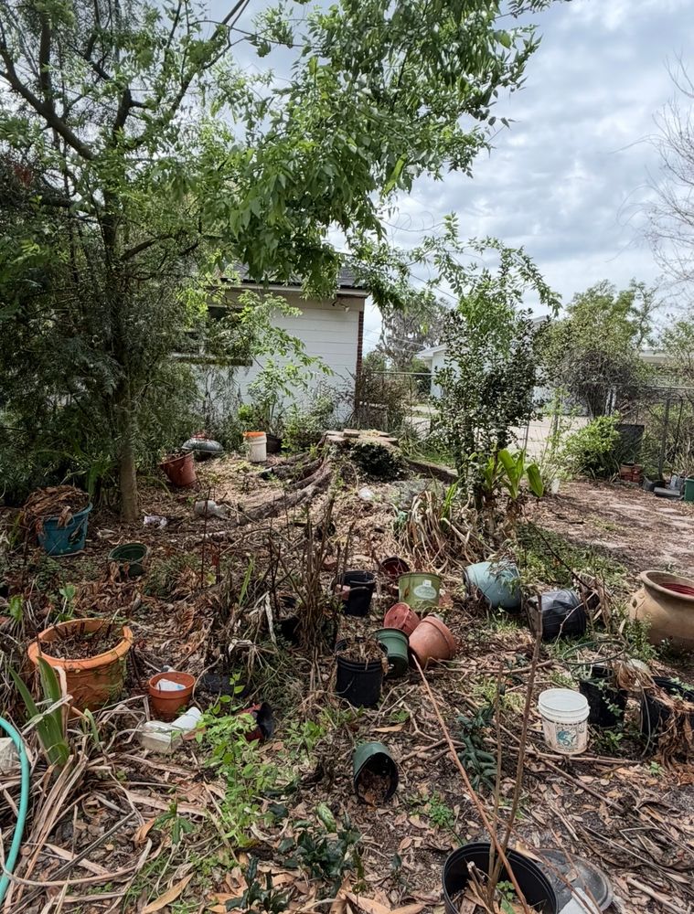 All Photos for Greene Acres Stump Grinding in Plant City, FL