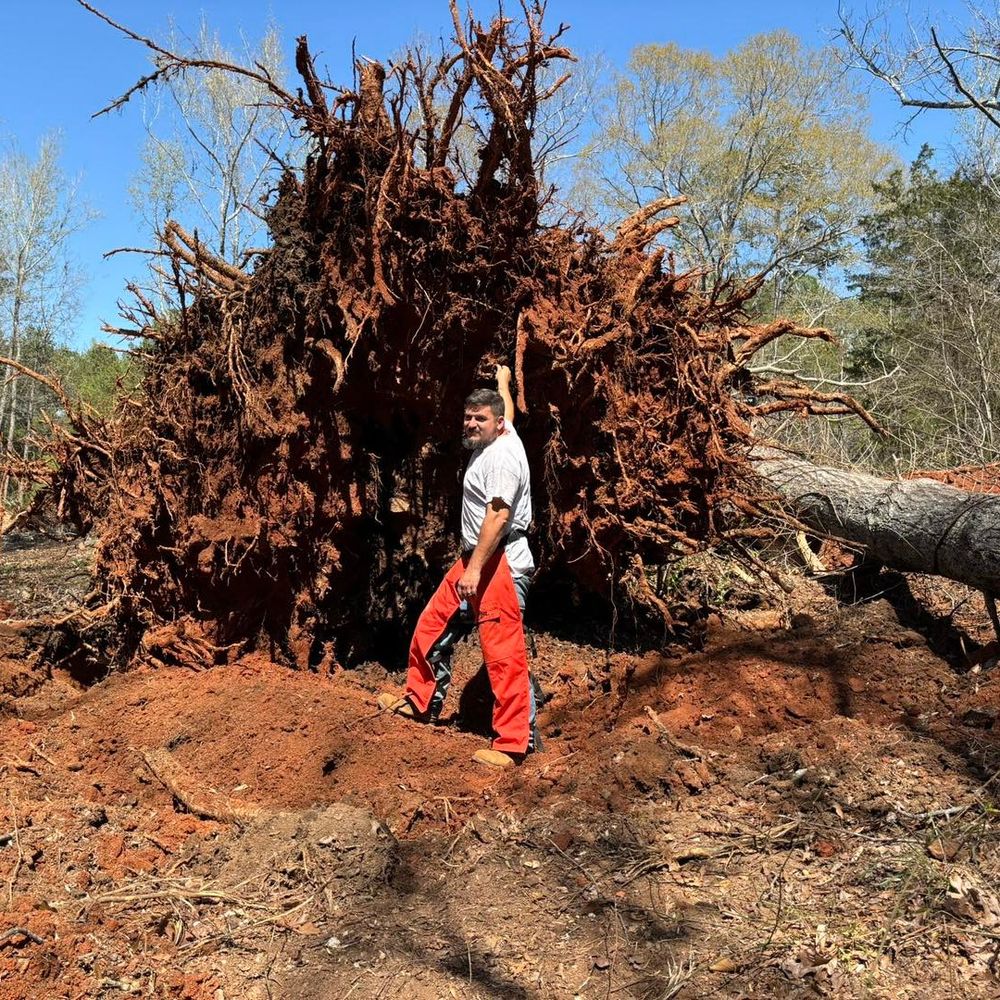 O'Connor Clearing and Hauling LLC team in Anderson County, SC - people or person