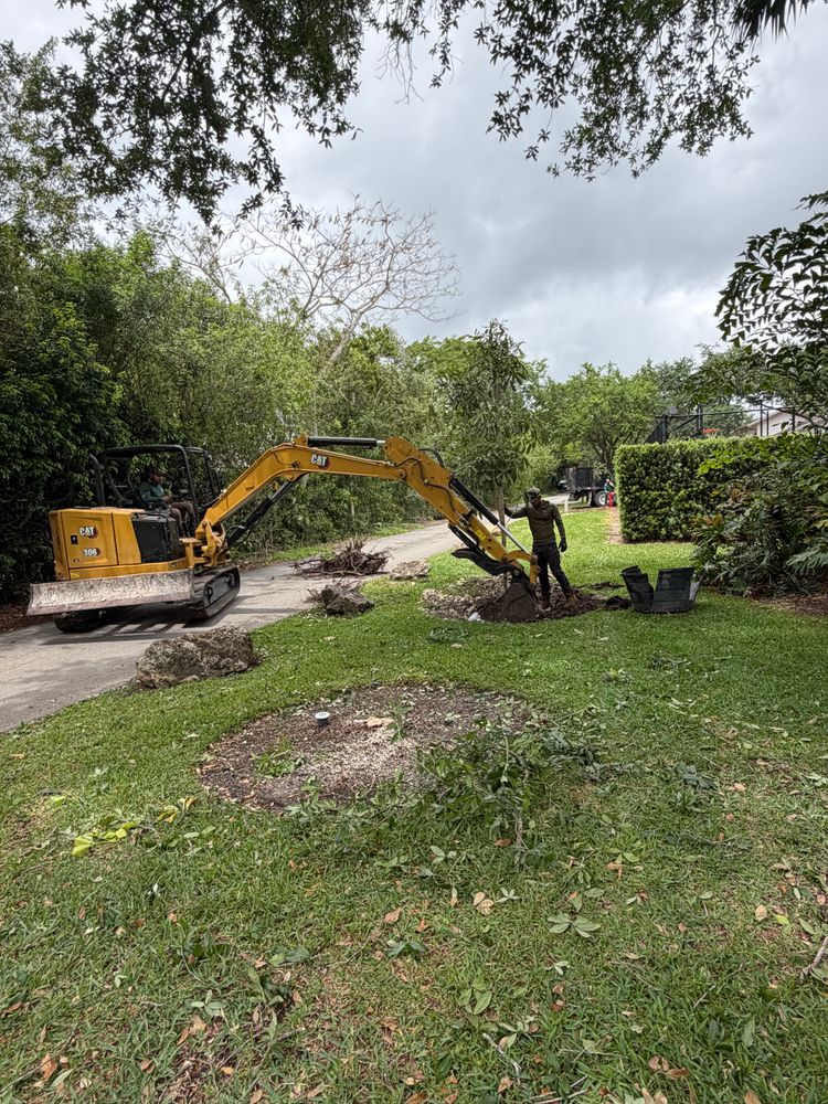 All Photos for Regional Land Construction in Miami, FL