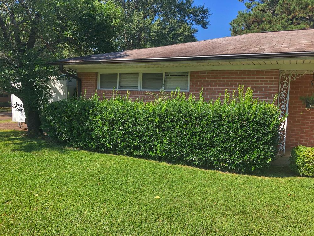 All Photos for Lawn Rescue in Texarkana, TX