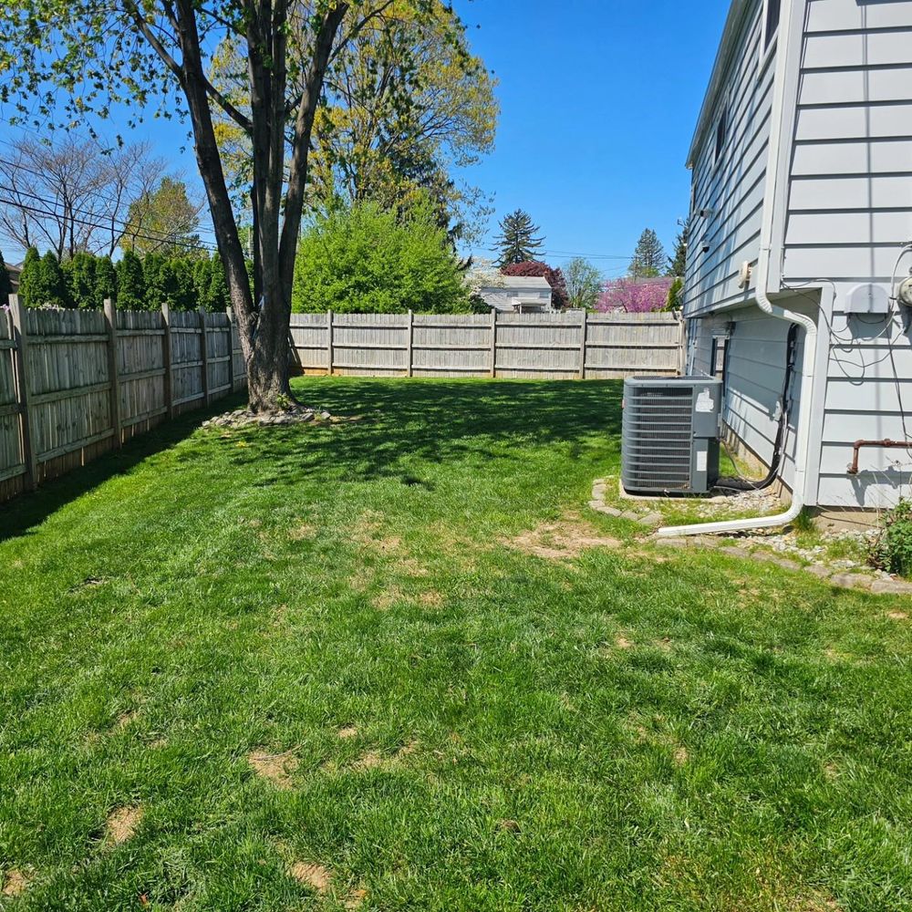 All Photos for Trippin A-Lawn in Bethlehem, PA