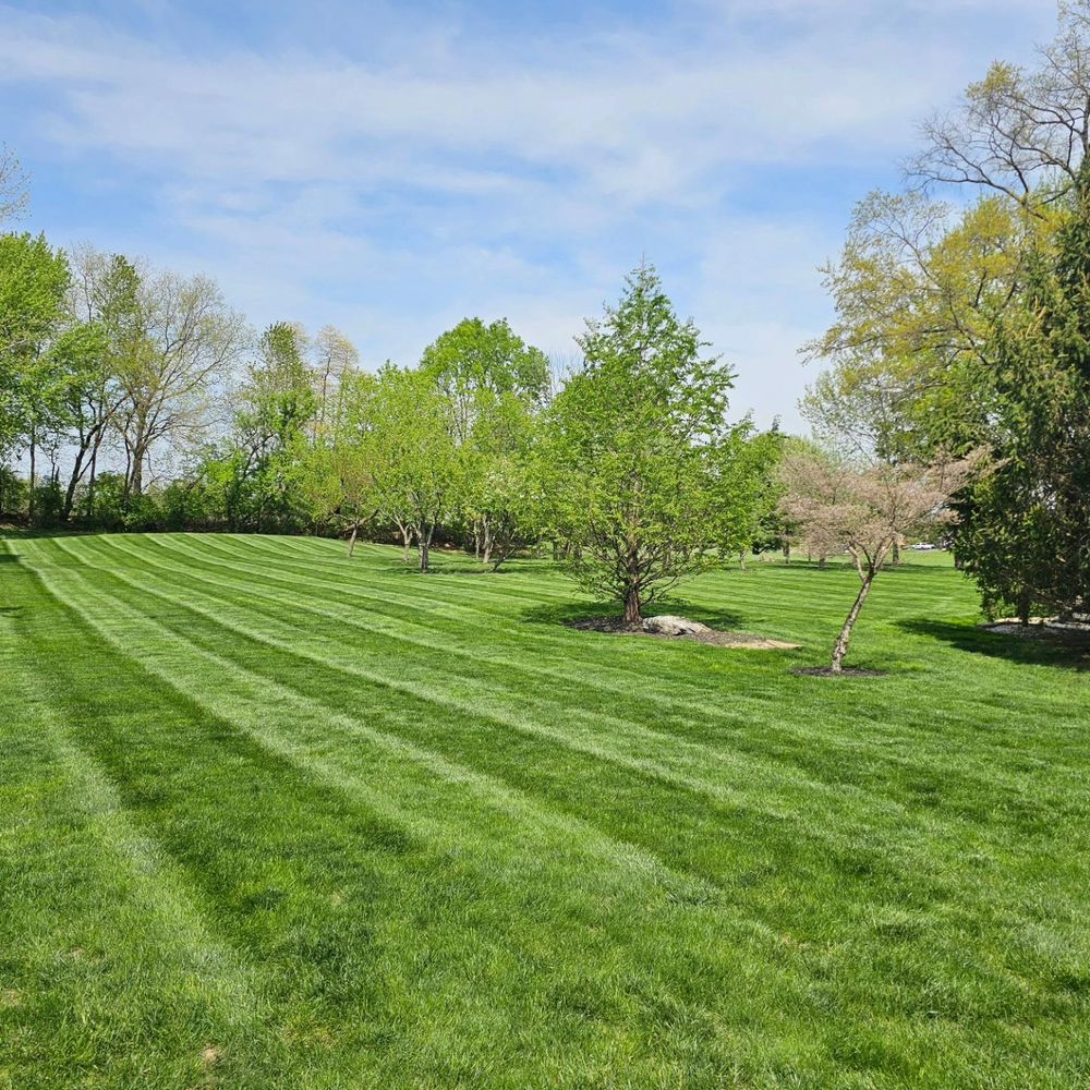All Photos for Trippin A-Lawn in Bethlehem, PA
