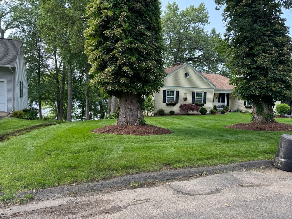 All Photos for Adams Landscaping in Springfield, MA