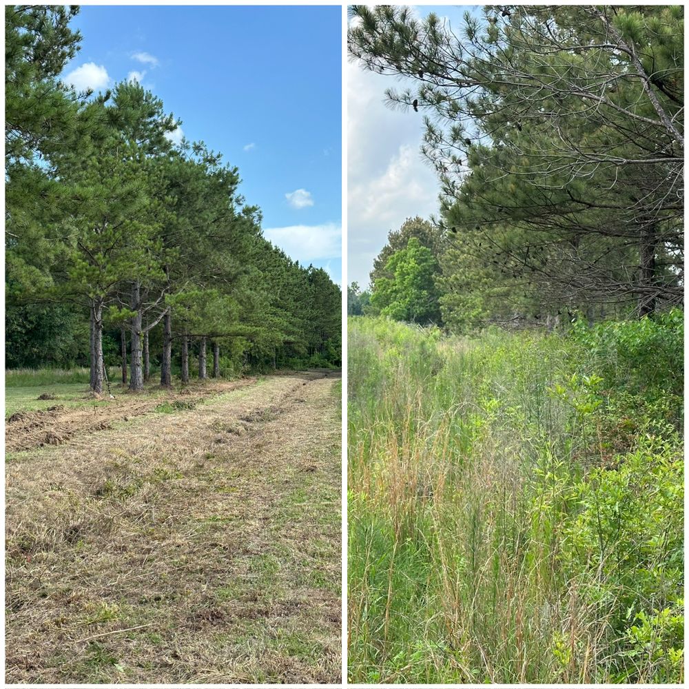 Discover what is land clearing with our expert service, removing unwanted vegetation and debris efficiently to prepare your property for construction or landscaping, ensuring a clean slate for your projects. for River Rooted Construction in Loranger, LA