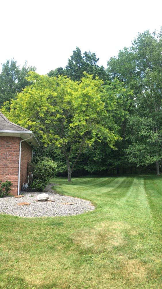All Photos for Wilt Landscaping in Greenville, PA