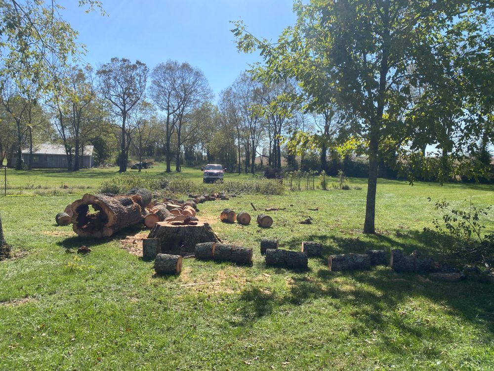 All Photos for Houtz Tree Service in Lexington, KY