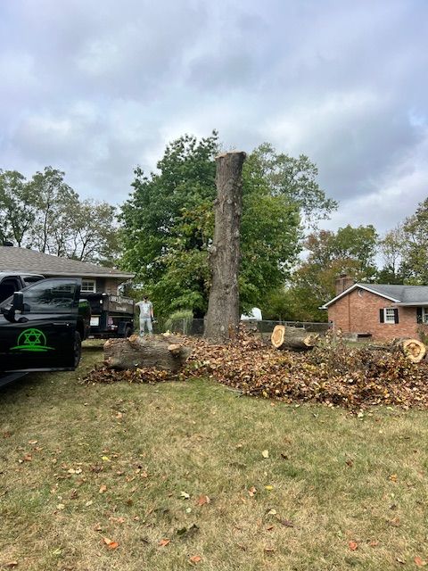 Mowing and Edging for Robbie's Lawn Care, LLC in Middletown, OH