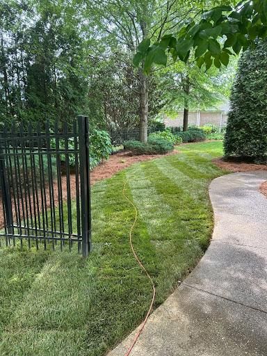 All Photos for Optimum Tree Service And Landscaping in Bowling Green, KY