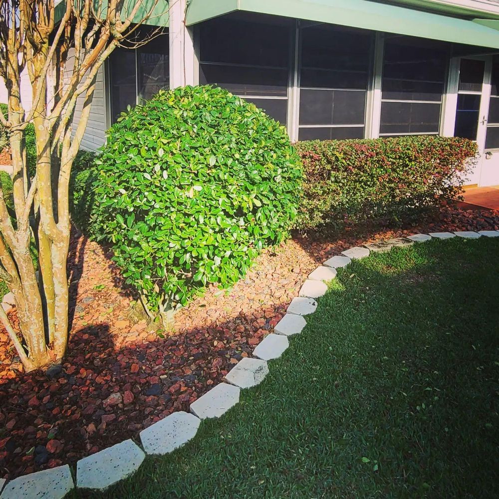 All Photos for TopNotch Landscaping Services  in The Villages, FL