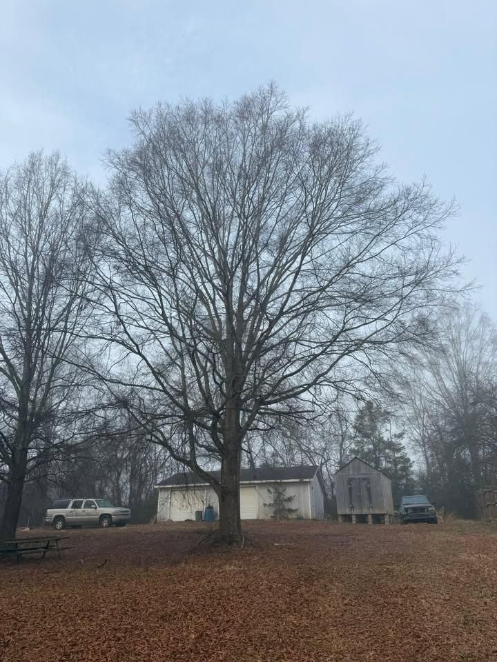 All Photos for Down South Tree Care and Landscaping in Maiden, NC