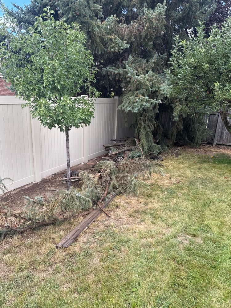 All Photos for Platinum Lawn Service in Santaquin, UT