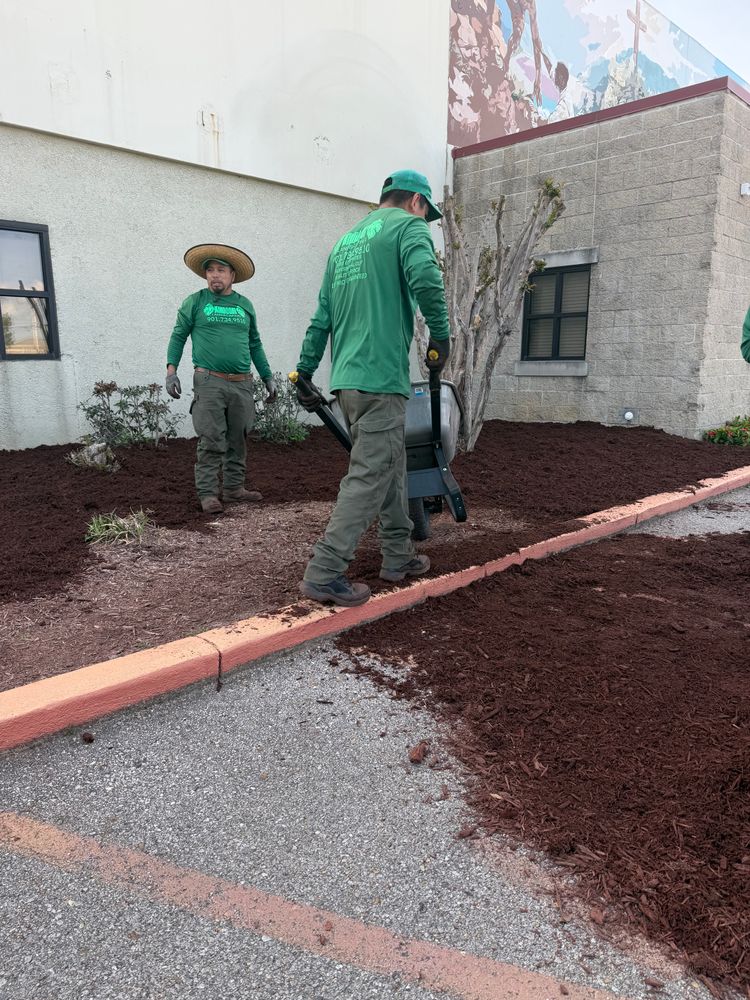 All Photos for Kingdom Landscaping in Memphis, TN