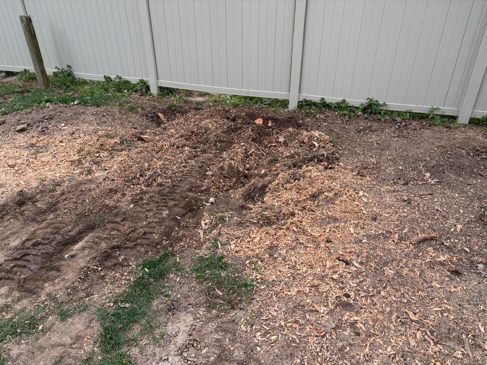 All Photos for Conrad's Stump Removal in Columbus, IN