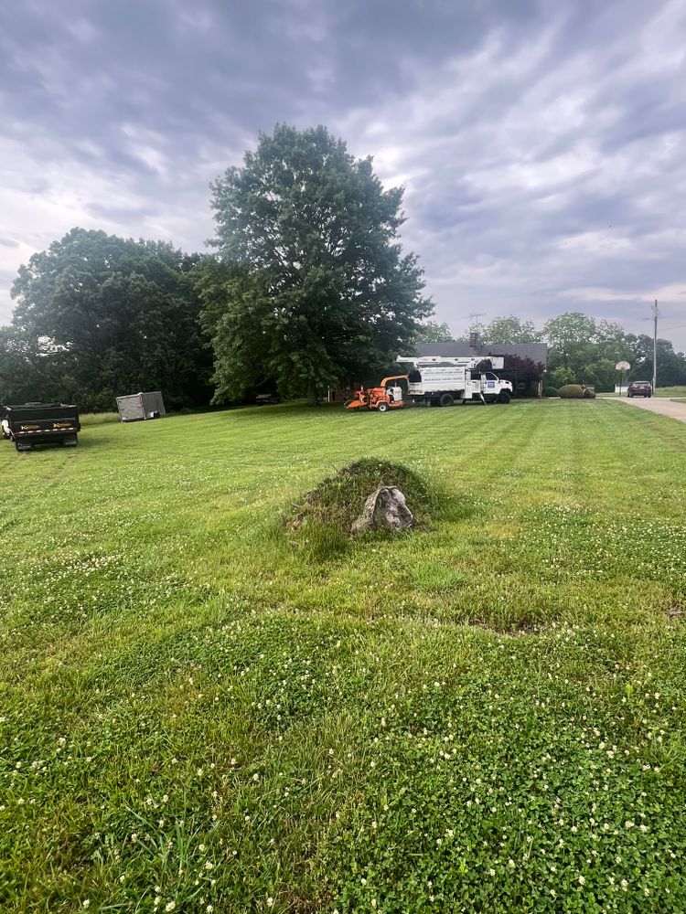 All Photos for Brooks Tree Service in Casar, NC