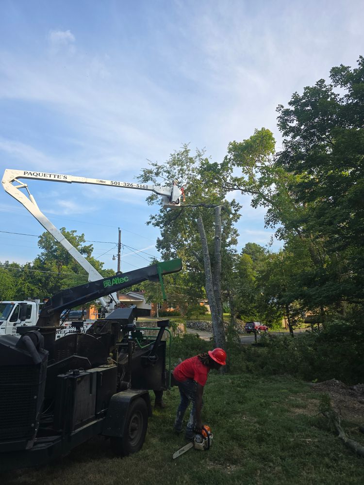 All Photos for Paquette's Tree Service in Malvern, AR