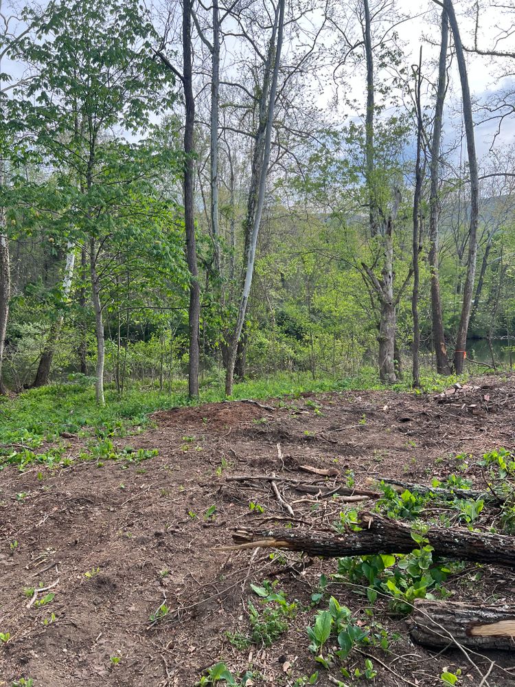 All Photos for Clarke Excavation Co. in Covington, VA
