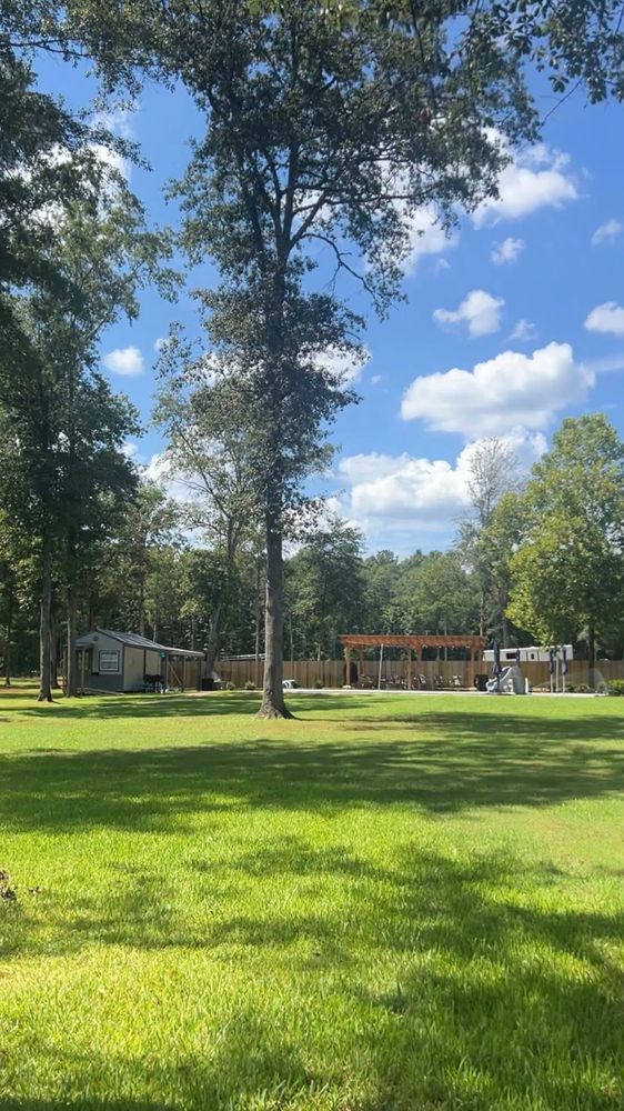 Hydroseeding for Deeply Rooted Lawns – Hydroseeding & Sod Installation Services in Winder, GA