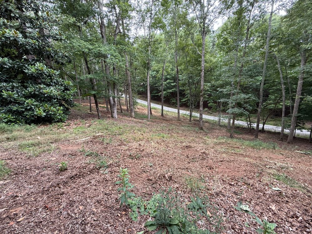 All Photos for T Crane Grading LLC in Clarkesville, GA