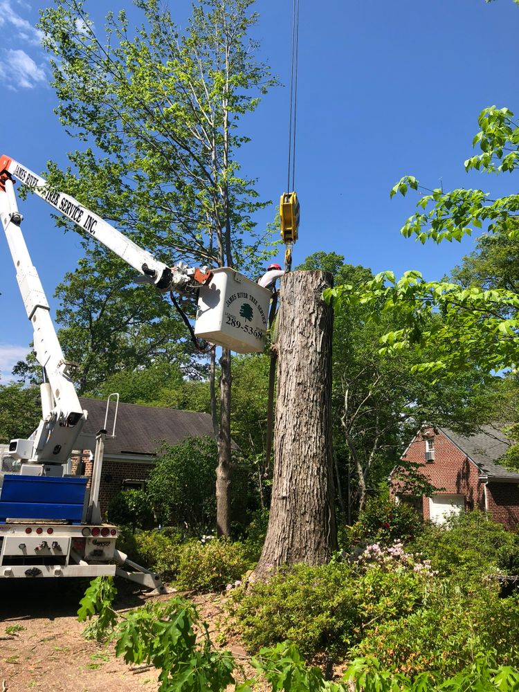 All Photos for James River Tree Service in Suffolk, VA