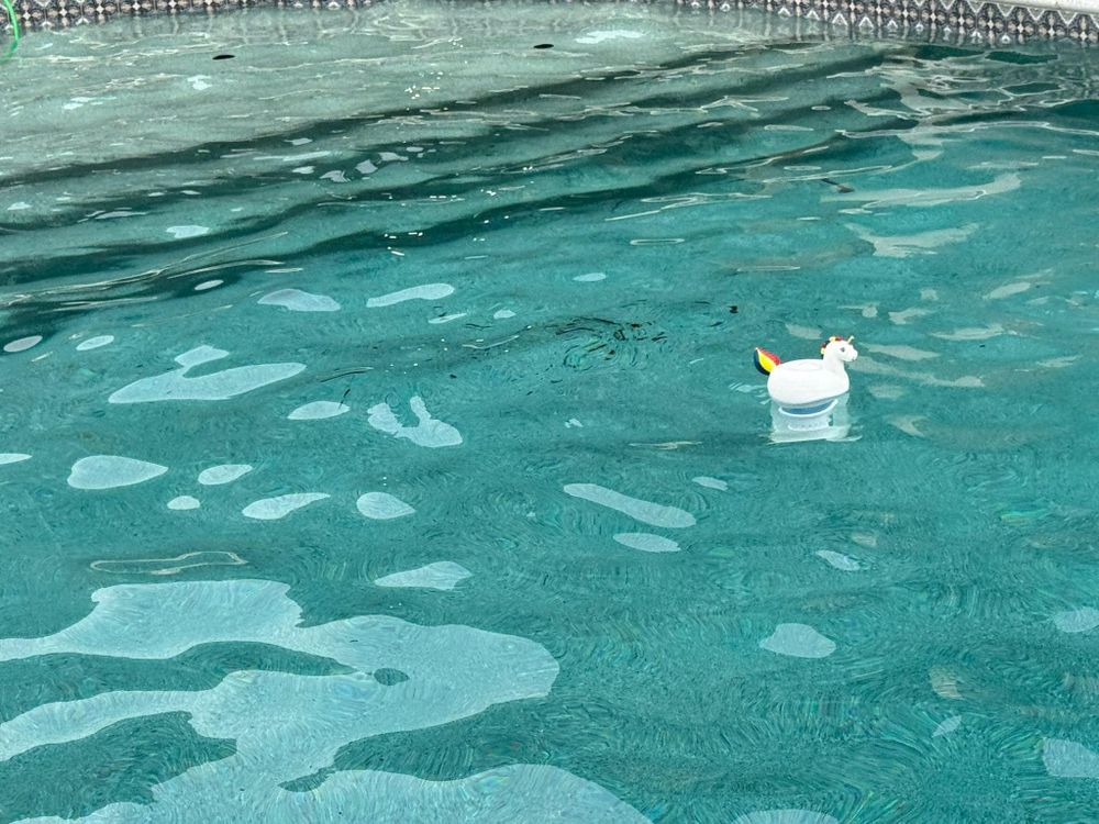 All Photos for Primetime Pools LLC in Winder, GA