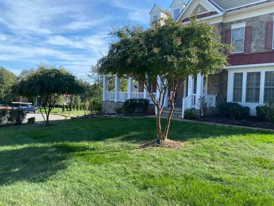 Whether you need tree trimming, removal, or planting services, our team is dedicated to enhancing the beauty and health of your property by expertly caring for your trees. for Branch Out Tree Care LLC in Fredericksburg, VA