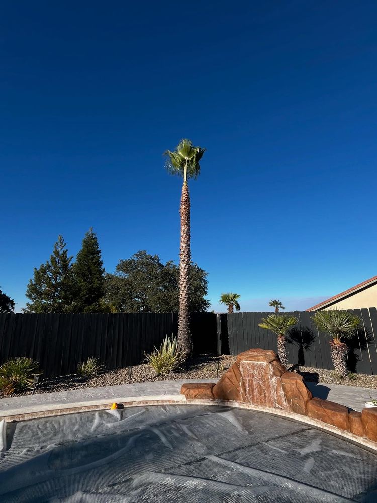 All Photos for A1 Junk & Tree Solutions, LLC in Paso Robles, CA