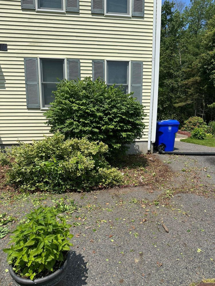 All Photos for Silver City Tree and Landscape in Taunton, MA