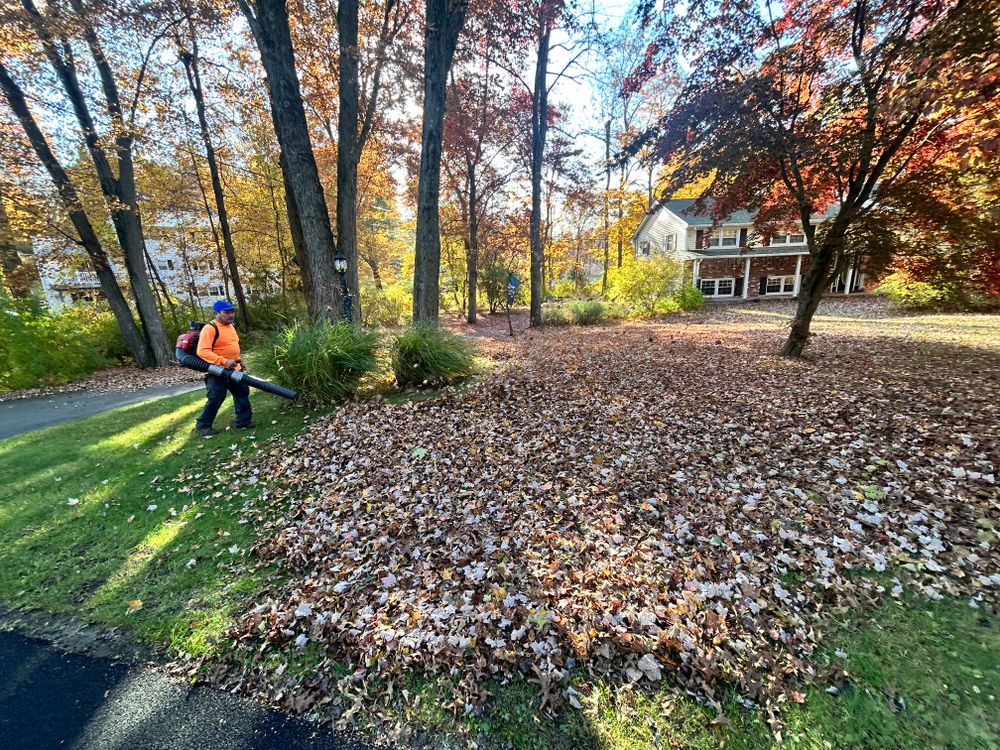 Fall Clean Up for Zaldivar’s Lawn Care INC  in Peekskill, NY