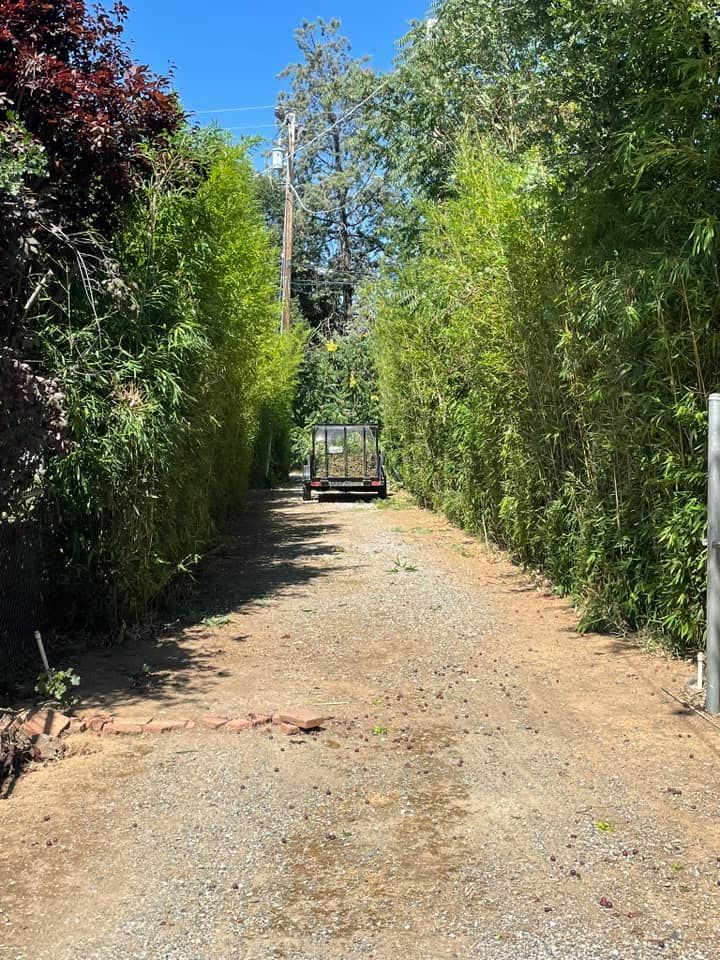 Our Tree & Shrub Care service ensures healthy, vibrant landscapes by providing expert pruning, disease prevention, and nutrient management to enhance growth and beauty for your outdoor spaces all year round. for Zuta1 Services in Redding, CA
