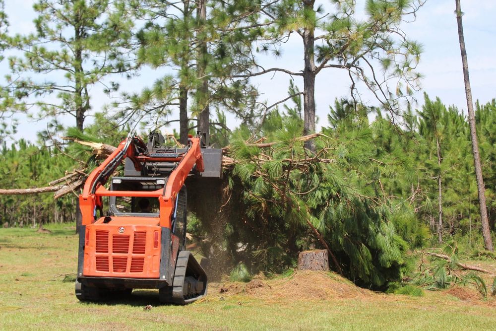 All Photos for American Tree Masters in Alvin, TX